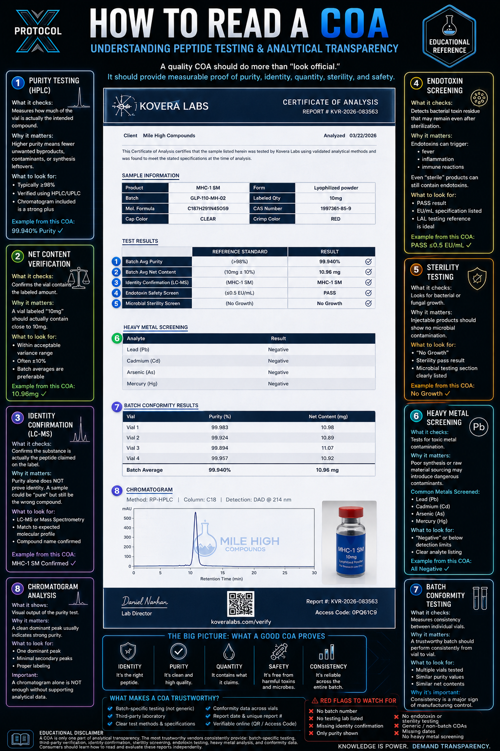 PROTOKOL X infographic showing how to read a peptide COA, including validation signals and red flags.