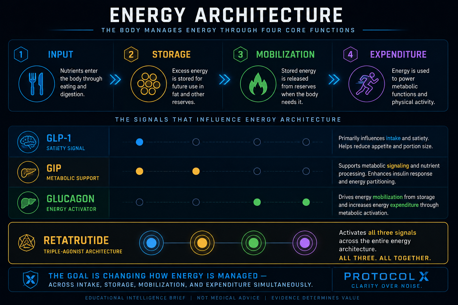 Energy Architecture diagram showing how GLP-1, GIP, and Glucagon influence the four core energy functions: Input, Storage, Mobilization, and Expenditure. Retatrutide activates all three signals across the entire architecture.