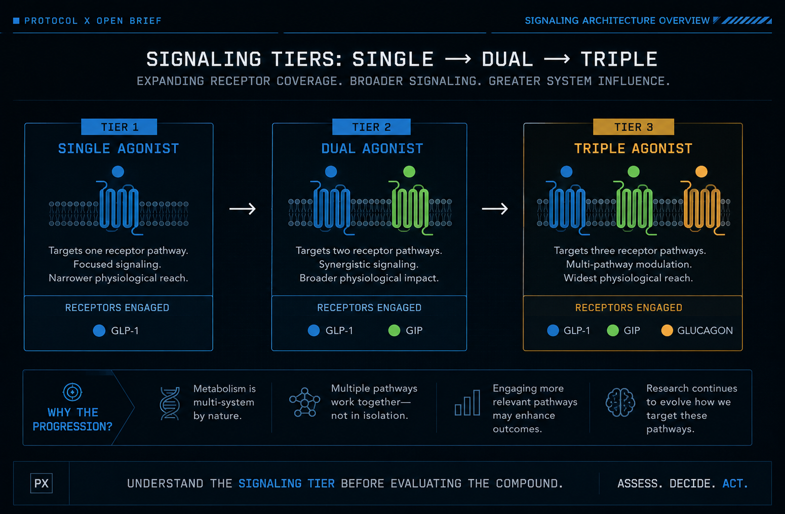 Protocol X infographic comparing single, dual, and triple agonist receptor coverage